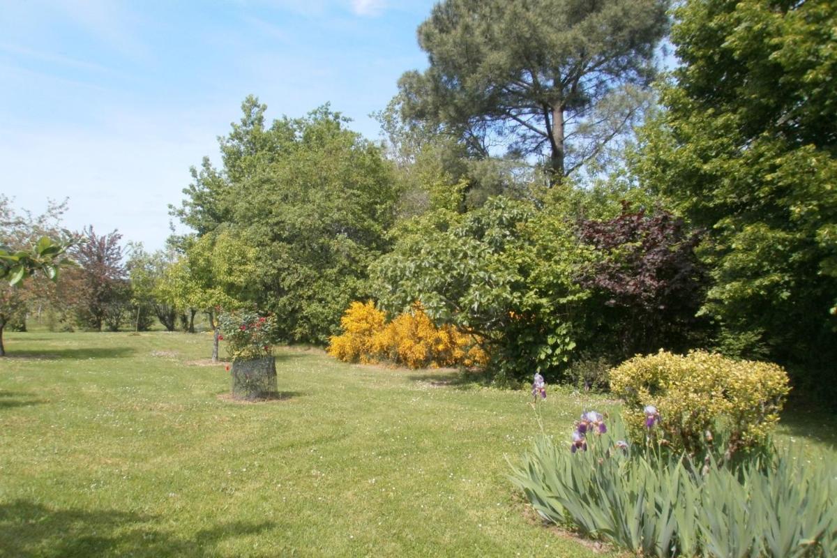 Les Glycines Villa Saint-Pierre-de-Buzet Exterior foto