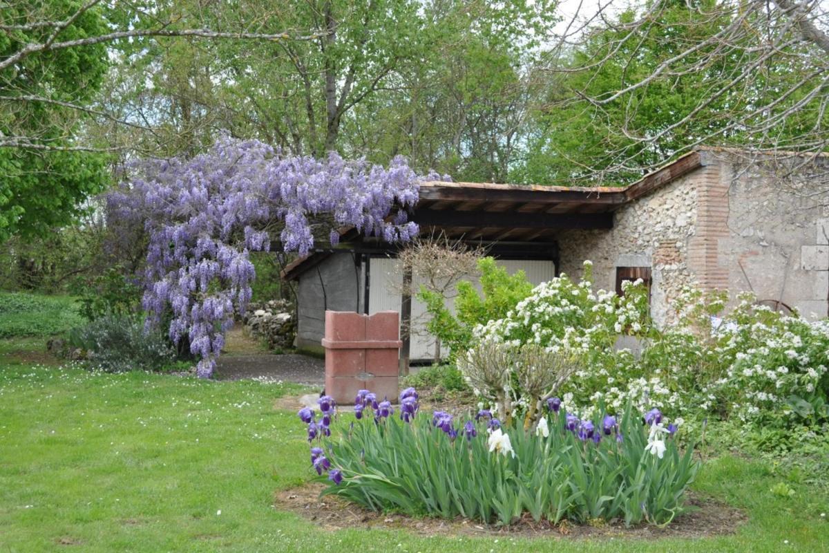 Les Glycines Villa Saint-Pierre-de-Buzet Exterior foto